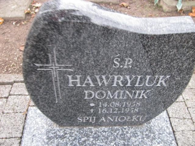 Dominik Hawryluk 1958 Ustronie Morskie - Grobonet - Wyszukiwarka osób pochowanych