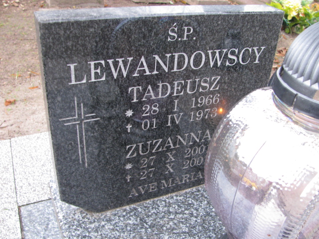 Tadeusz Lewandowski 1966 Ustronie Morskie - Grobonet - Wyszukiwarka osób pochowanych